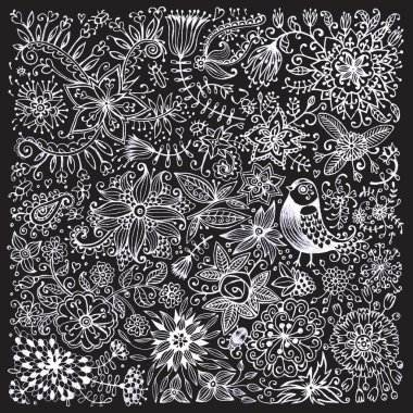 blackboard çiçek ve kuş tebeşir ile çizilmiş.