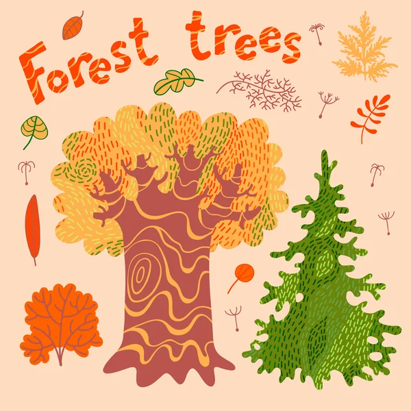 Árboles forestales, arbustos, hojas . — Vector de stock