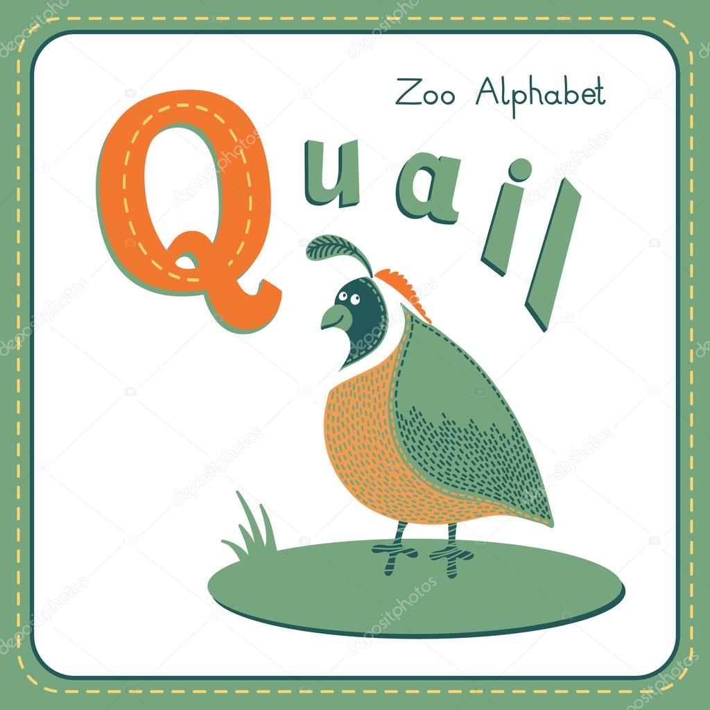 Letter Q - Quail