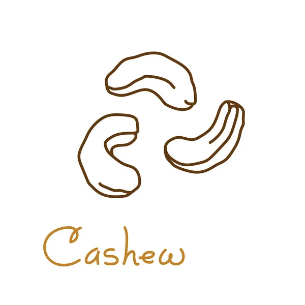 Ручний графічний елемент Cashew для дизайну упаковки горіхів, насіння або закуски. Векторні ілюстрації в стилі лінійного мистецтва — стоковий вектор