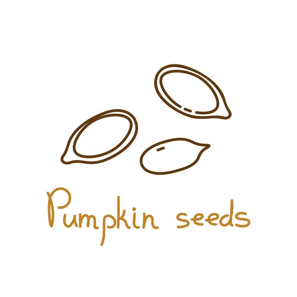 Dýňová semínka ručně kreslený grafický prvek pro balení designu semen nebo svačinky. Vektorová ilustrace ve stylu čárového umění — Stockový vektor