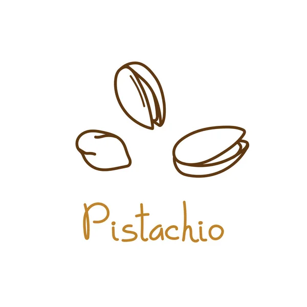Pistacho, pistache elemento gráfico dibujado a mano para el diseño de envases de frutos secos y semillas o snack. Ilustración vectorial en estilo de arte en línea — Archivo Imágenes Vectoriales
