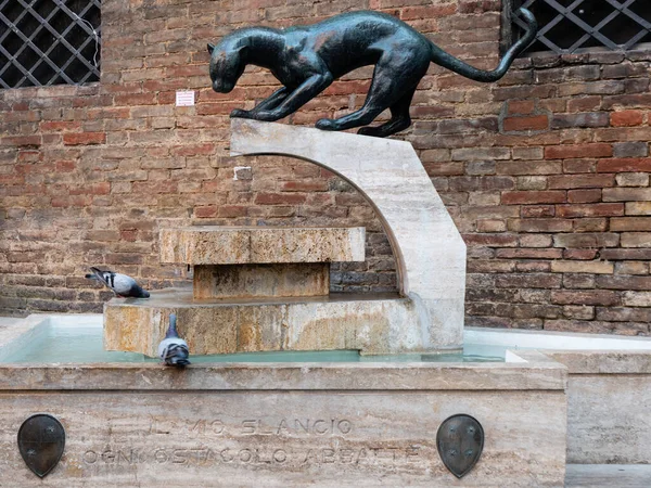 シエナのContrada Della Panteraのパンサー噴水またはソースとFontanina イタリア — ストック写真