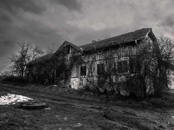 Läskigt Övergivet Hus Överväxt Med Växter Öde Ruin Mostviertel Niederösterreich — Stockfoto