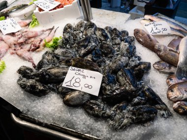 Seppie ya da mürekkep balığı Chioggia 'dan gelen mürekkeple Venedik' teki Rialto Balık Pazarı 'nda satılık.
