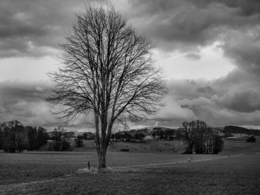 Aşağı Avusturya 'da Çıplak Ağaç ve Çayırla Mostviertel Kış Manzarası