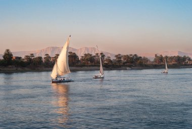 Luxor, Mısır - 5 Ocak 2011: Geleneksel Felucca Yelkenlisi, Nil Nehri 'nde Luxor yakınlarında, Üçgen Yelkenli bir tekne.