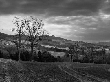 Aşağı Avusturya 'nın Mostviertel Bölgesinde Tepe ve Ağaçlarla Karanlık ve Kasvetli Kış Manzarası