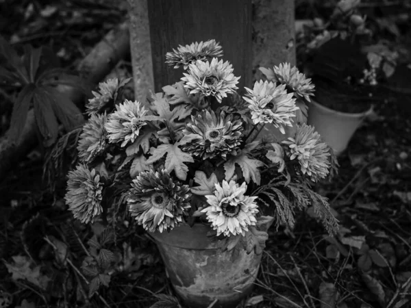 Konstgjorda Blommor Vemodigt Stilleben Monokrom Svart Och Vitt — Stockfoto