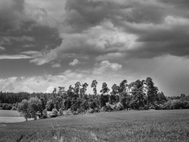 Çek Cumhuriyeti, Malkovice yakınlarındaki Batı Bohemya 'da Ağaç ve Alan Korusu ile manzara