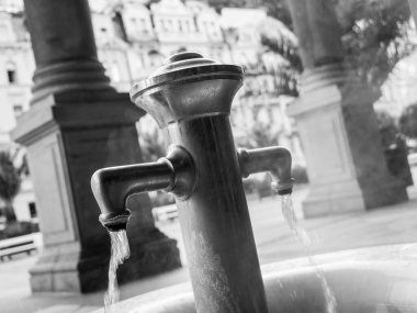 Karlovy Vary, Bohemya, Çek Cumhuriyeti 'ndeki Mlynska Kolonada' da Prens Wenceslas İlkbaharı ya da Pramen Knize Vaclav I