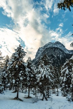 Kışın dağ manzarası, ortasında Alpler...