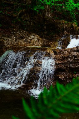 Ormandaki akarsu, sonbaharda yere düşen yapraklar ve havada sis olan bir şelaleye benzer.