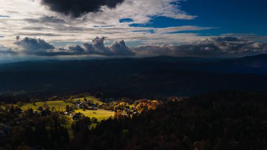 turuncu görünümlü karamsar sonbahar ormanı
