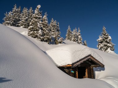 Sonnennalm, köknar ağaçlarının (Zell am See)