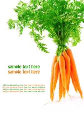 taze havuç meyve izole beyaz zemin üzerine yeşil yaprakları ile