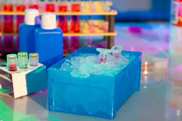 Tube plastique de réaction dans une boîte pleine de glace — Photo