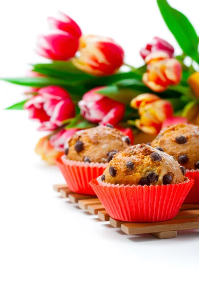 Muffiny s tulipány izolovaných na bílém pozadí — Stock fotografie