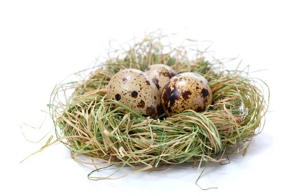 Quail eggs in nest, isolated on white background. — Stock Photo, Image