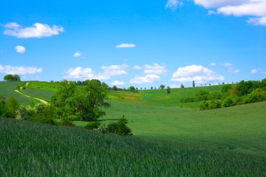 Mavi gökyüzü karşı Klasik yeşil alan görünüm