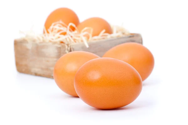 Beyaz arkaplanda kahverengi yumurtalar — Stok fotoğraf