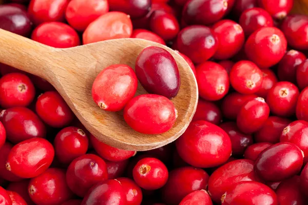 Cranberries vermelhas frescas na tigela de madeira com colher — Fotografia de Stock