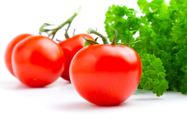 Rode tomaat met peterselie geïsoleerd op witte achtergrond. — Stockfoto