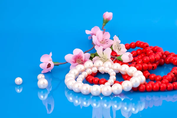 Pearls bangles and red beads, with pink flowers of Sakura, on blue background — Stock Photo, Image