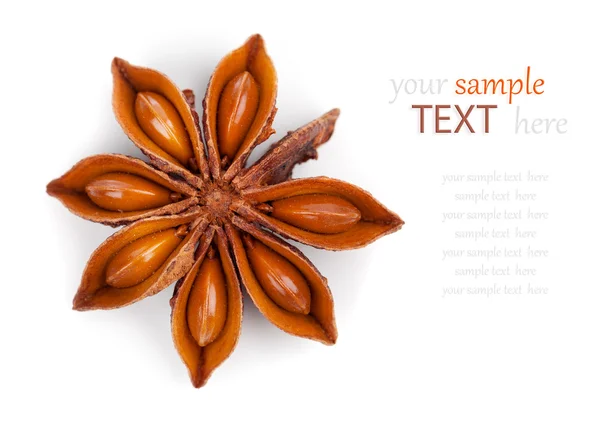 Whole Star Anise isolated on white background, with copy space — Stock Photo, Image