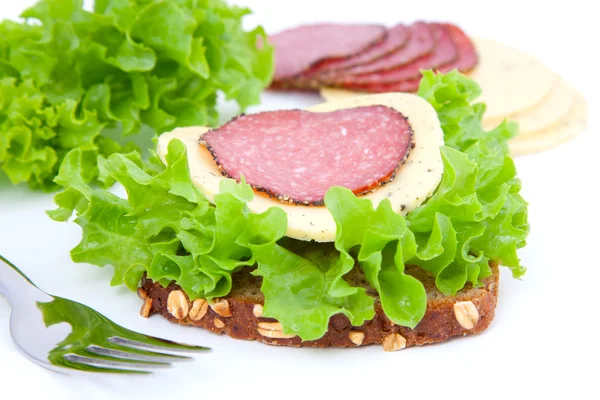 Primo piano di un panino sano — Foto Stock