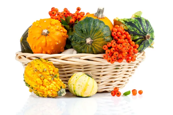 Calabazas de otoño en una cesta de paja, aisladas sobre el fondo blanco — Foto de Stock