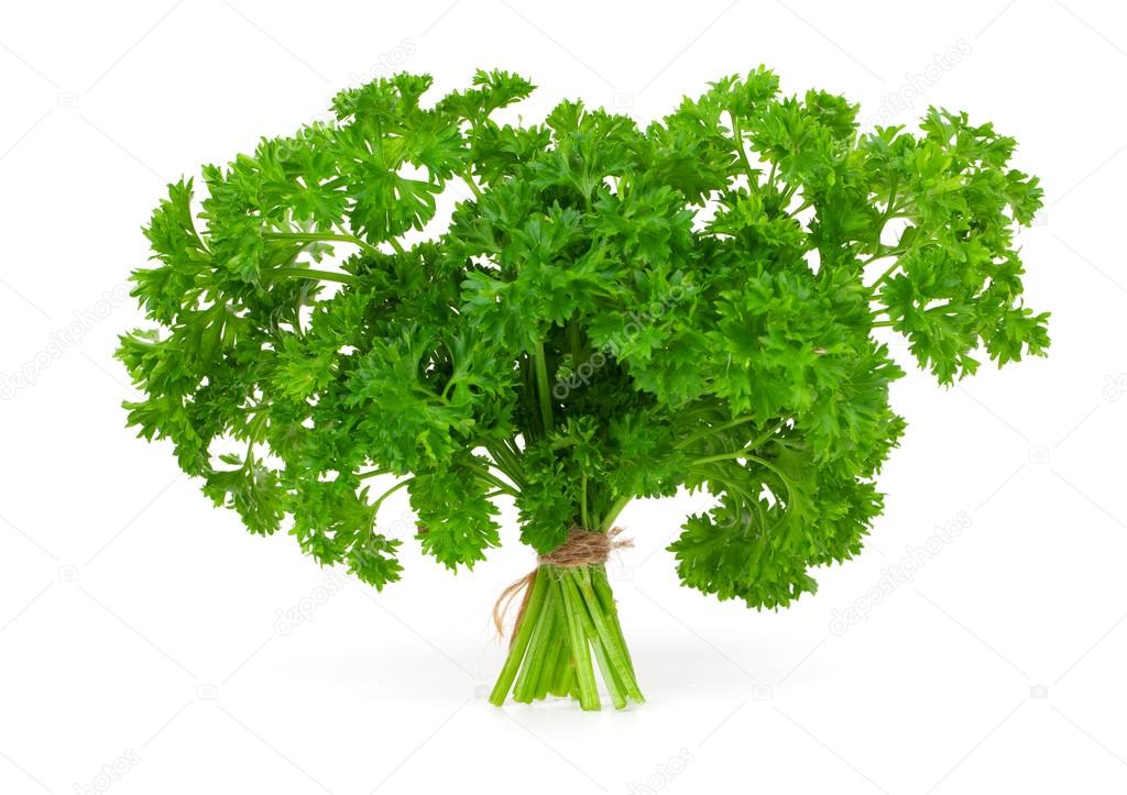 Fresh green parsley, isolated on white background