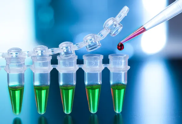 Loading of PCR samples in numbered plastic tubes — Stock Photo, Image