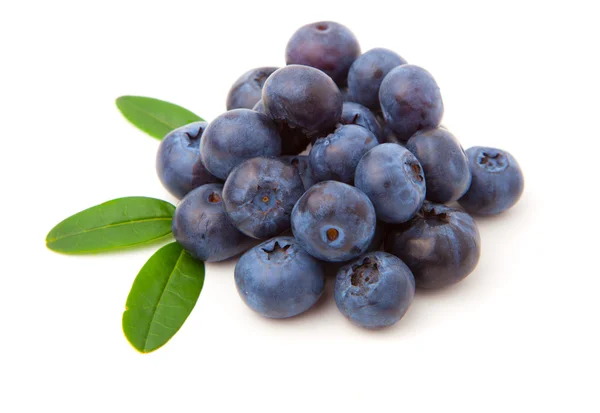 蓝莓，绿叶，白色背景隔离 — 图库照片