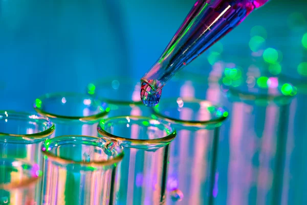 Pipette adding fluid to one of several test tubes — Stock Photo, Image