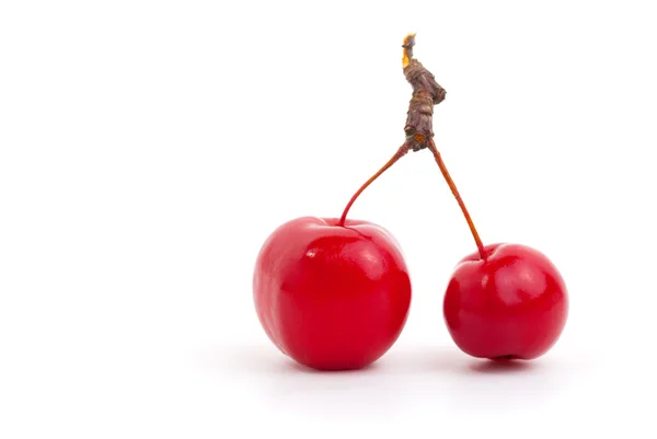 Maçãs de cereja chinesas, isoladas sobre fundo branco . — Fotografia de Stock