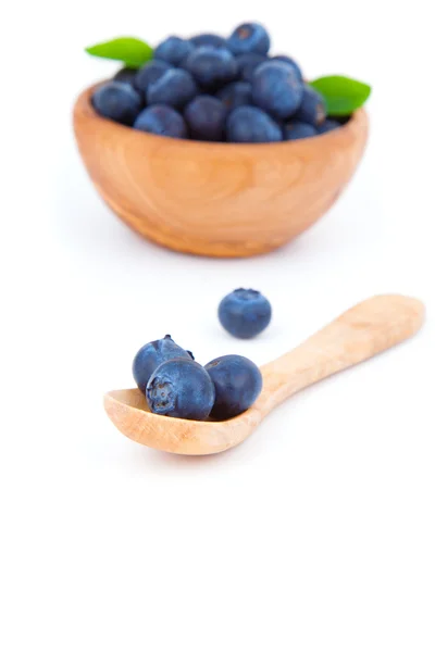 新鲜蓝莓的木勺，在白色背景. — 图库照片