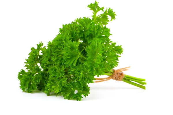 Parsley tied with an cord band in white background. — Stock Photo, Image