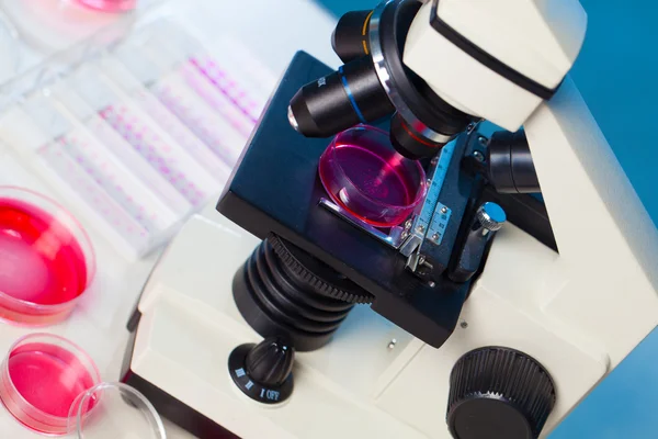 Microscopio y placas de Petri en un laboratorio — Foto de Stock