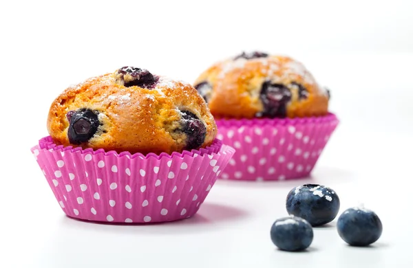 Muffin ai mirtilli su sfondo bianco — Foto Stock