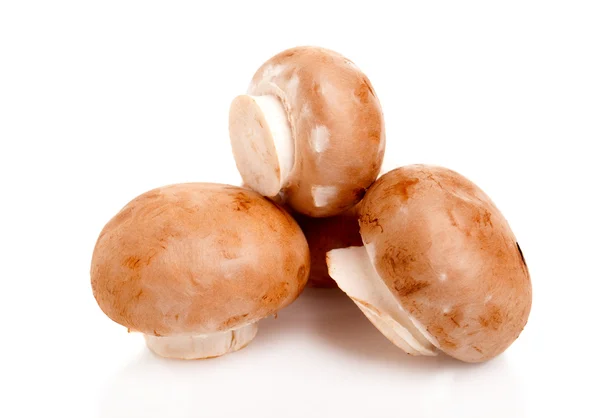 흰 배경에 격리되어 있는 신선 한 버섯 샹 폴리 뇽 — 스톡 사진