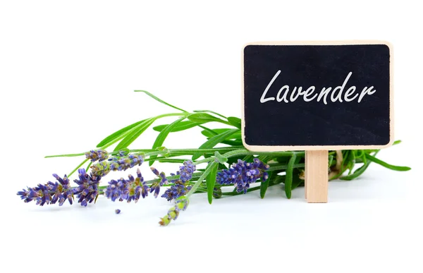 Un ramo de flores de lavanda con plato de letras, en un fondo blanco —  Fotos de Stock