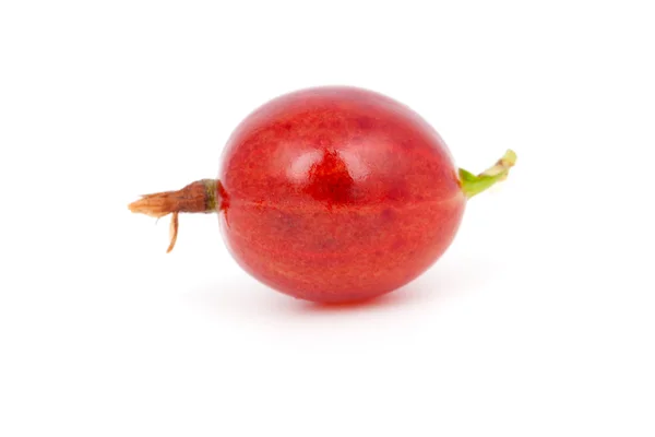 Uma groselha espinhosa vermelha fresca, sobre um fundo branco . — Fotografia de Stock