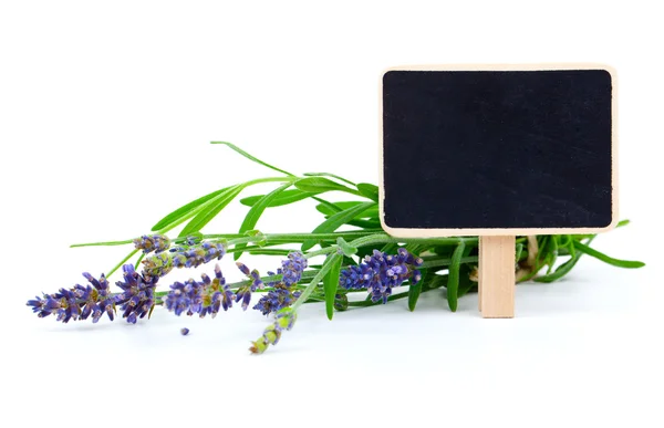 Een bos van lavendel met brief plaat, op een witte backgr — Stockfoto