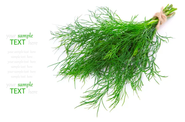 Fresh dill, Isolated on white background, with room for text