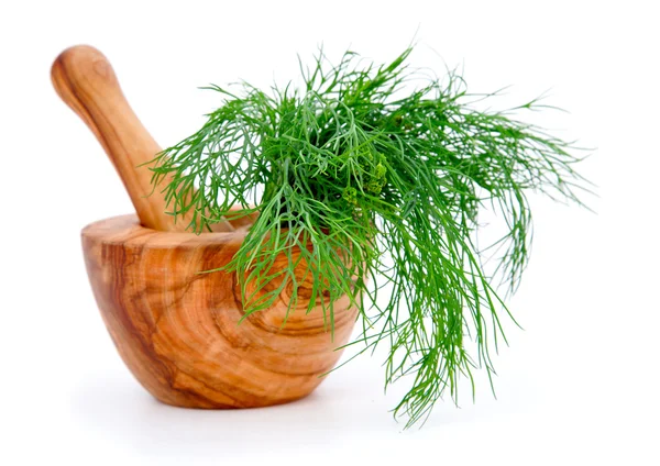 Holzmörtel mit Dill, auf weißem Hintergrund — Stockfoto