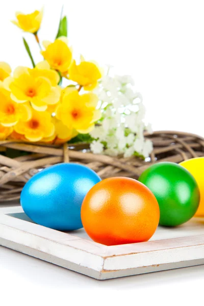 Huevos de Pascua coloridos sobre fondo blanco — Foto de Stock