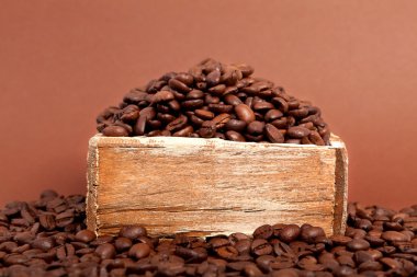 Kahve çekirdeği