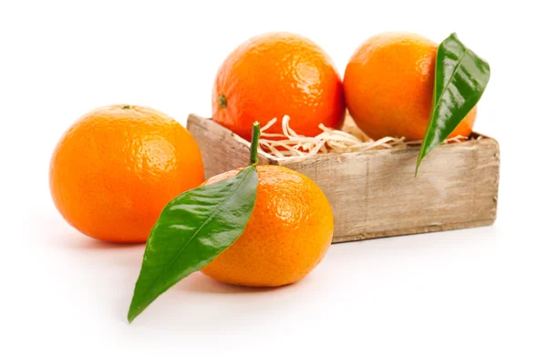 Orangefarbene Mandarinen mit grünem Blatt auf weißem Hintergrund — Stockfoto