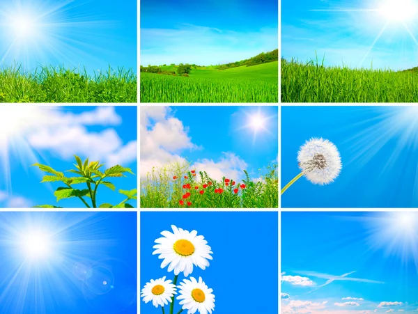Assortiment van de lente en de zomer landschap — Stockfoto